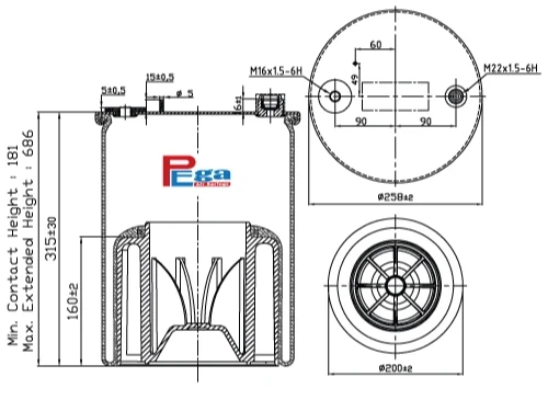 6173 N P41 - Pega Air Springs